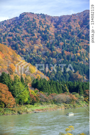 秋の最上川舟下り 秋の最上川舟下り 134082119
