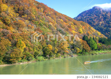 秋の最上川舟下り 秋の最上川舟下り 134082121