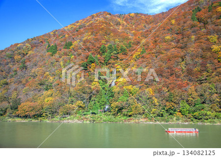 秋の最上川舟下り 134082125