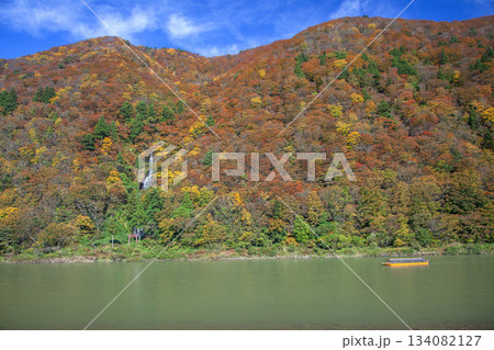 秋の最上川舟下り 秋の最上川舟下り 134082127