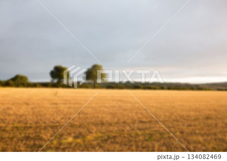Trees on agriculture land 134082469