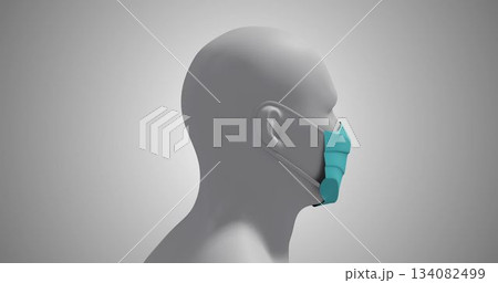 Human head model wearing face mask Human head model wearing face mask 134082499