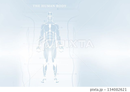 Digitally composite image of human body skeleton 134082621