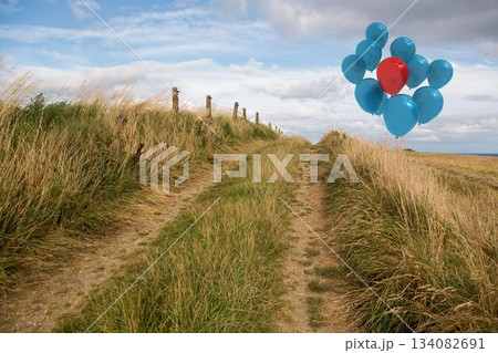 Balloons above sand dunes 134082691