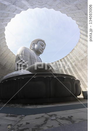 The great Buddha at Hill of Buddha in Hokkaido. Hill Of Buddha is one Of Most Popular Traveling Destination In Sapporo. locate in Makomanai Takino Cemetery . 134083006