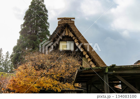 下呂温泉合掌村の紅葉 下呂温泉合掌村の紅葉 134083100