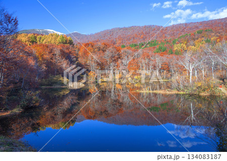 秋の月山地蔵沼 秋の月山地蔵沼 134083187