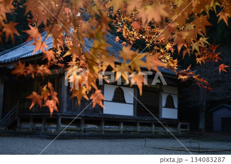 晩秋の西林寺 晩秋の西林寺 134083287