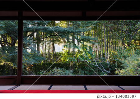 夕暮れ時の大原宝泉院の庭園の風景 134083397