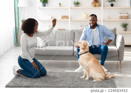 Dog Training Commands. Happy black woman teaching pet at home in living room, playing with golden retriever and rewarding him with treats, giving animal food, husband sitting on sofa looking at wife 134083432