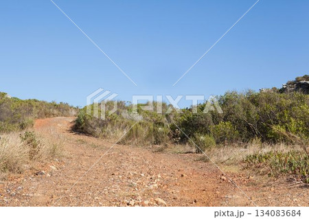Winding dirt trail is climbing scrubland hillside in flat design, with scattered rocks and shrubs 134083684