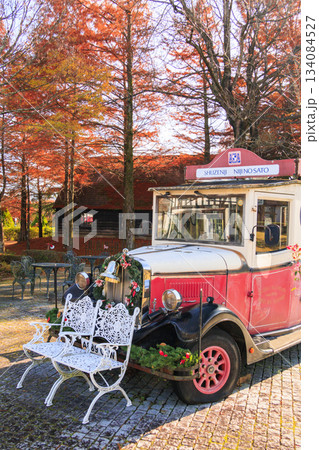 紅葉見頃な伊豆修善寺虹の郷 134084527