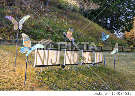 紅葉見頃な伊豆修善寺虹の郷 134084533