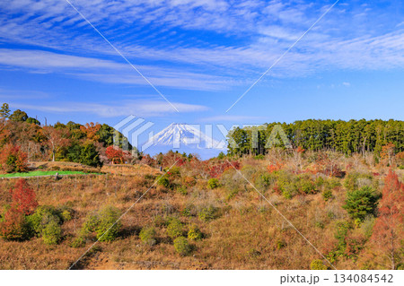 紅葉見頃な伊豆修善寺虹の郷 紅葉見頃な伊豆修善寺虹の郷 134084542