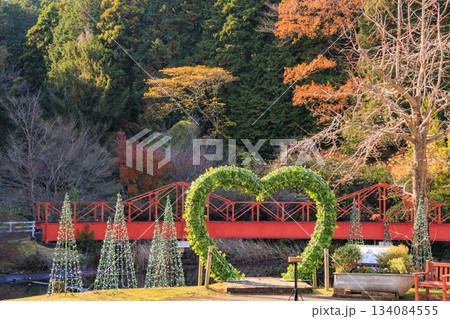 紅葉見頃な伊豆修善寺虹の郷 紅葉見頃な伊豆修善寺虹の郷 134084555