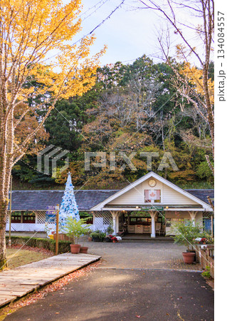 紅葉見頃な伊豆修善寺虹の郷 紅葉見頃な伊豆修善寺虹の郷 134084557