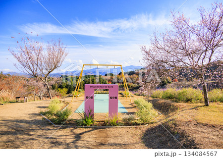 紅葉見頃な伊豆修善寺虹の郷 紅葉見頃な伊豆修善寺虹の郷 134084567
