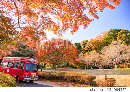 紅葉見頃な伊豆修善寺虹の郷 紅葉見頃な伊豆修善寺虹の郷 134084572