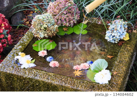 紅葉見頃な伊豆修善寺虹の郷 紅葉見頃な伊豆修善寺虹の郷 134084602