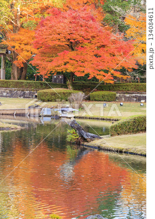 紅葉見頃な伊豆修善寺虹の郷 134084611