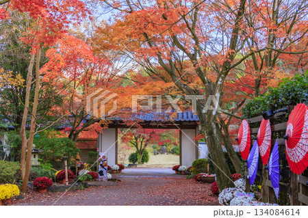 紅葉見頃な伊豆修善寺虹の郷 134084614