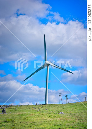 四国カルストの風車 134085288