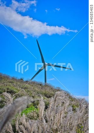 四国カルストの風車 134085403