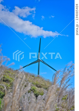 四国カルストの風車 134085404