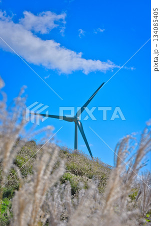 四国カルストの風車 134085405