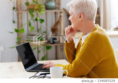 Side view of elderly grey-haired lady using modern laptop with blank screen, having online course or working from home during coronavirus pandemic, kitchen interior, copy space Side view of elderly grey-haired lady using modern laptop with blank screen, having online course or working from home during coronavirus pandemic, kitchen interior, copy space 134085529