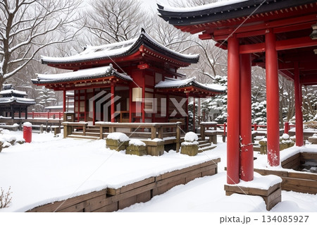 冬の参拝風景 雪化粧した日本の神社 134085927