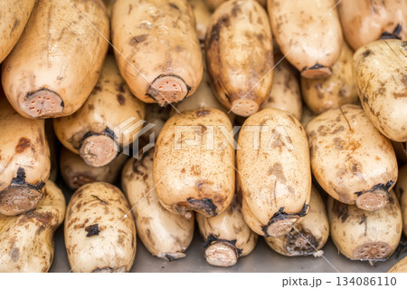 Pile of fresh lotus roots Pile of fresh lotus roots 134086110