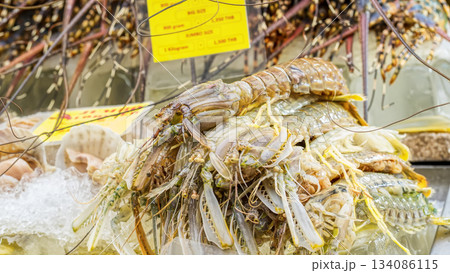 Fresh raw mantis shrimps Fresh raw mantis shrimps 134086115