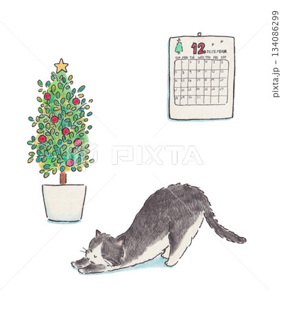 伸びをする猫とクリスマスツリーのイラスト 134086299