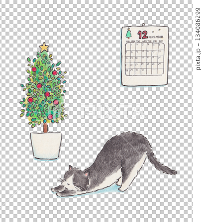 伸びをする猫とクリスマスツリーのイラスト 134086299