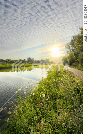 Experience a Serene Morning by the Calm River Under Beautiful and Majestic Clouds Experience a Serene Morning by the Calm River Under Beautiful and Majestic Clouds 134086847