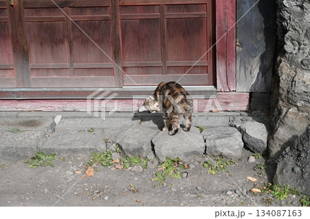 布引観音 134087163