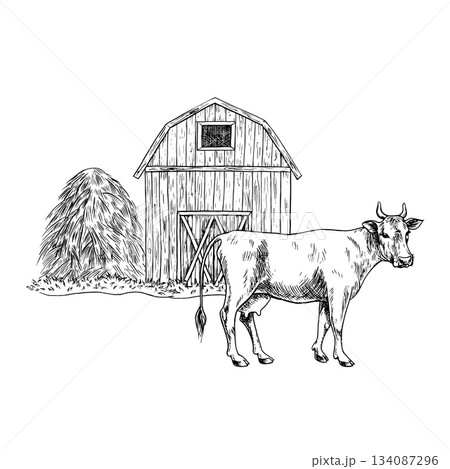 Farmyard. Black and white hand drawn vector illustration. Wooden barn, cow, haystack. Concept of the livestock industry. Design element for banners, labels, postcards and more. Farmyard. Black and white hand drawn vector illustration. Wooden barn, cow, haystack. Concept of the livestock industry. Design element for banners, labels, postcards and more. 134087296