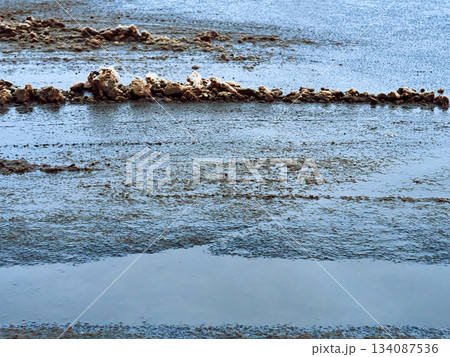 Wet Dirty Road Asphalt with Puddles and a Strip of Melting Snow, Textured Background Wet Dirty Road Asphalt with Puddles and a Strip of Melting Snow, Textured Background 134087536