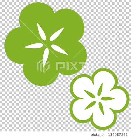 兩朵日式風格的花,黃綠色和白色相間。 兩朵日式風格的花,黃綠色和白色相間。 134087851