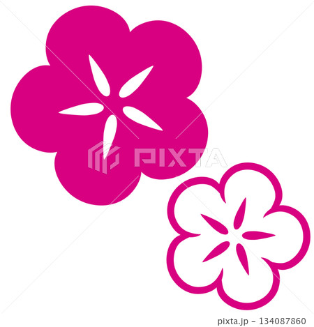 鮮やかなピンク色と白色の二つの和風の花 鮮やかなピンク色と白色の二つの和風の花 134087860