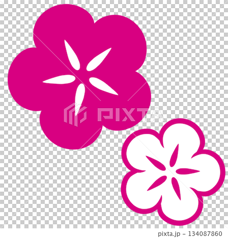 鮮やかなピンク色と白色の二つの和風の花 鮮やかなピンク色と白色の二つの和風の花 134087860
