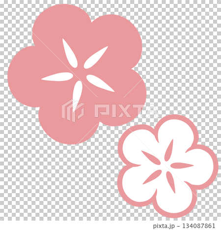 ピンク色と白色の二つの和風の花 ピンク色と白色の二つの和風の花 134087861