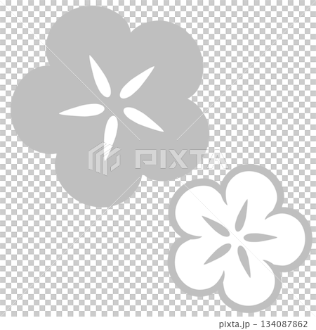 灰色と白色の二つの和風の花 134087862