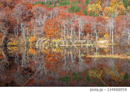 秋の月山地蔵沼 134088059