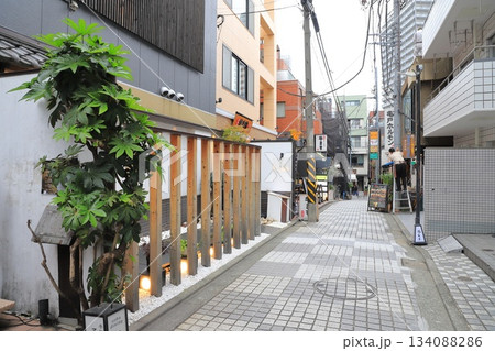 神楽坂 芸者新道(しんどう)(神楽坂三丁目) 神楽坂 芸者新道(しんどう)(神楽坂三丁目) 134088286