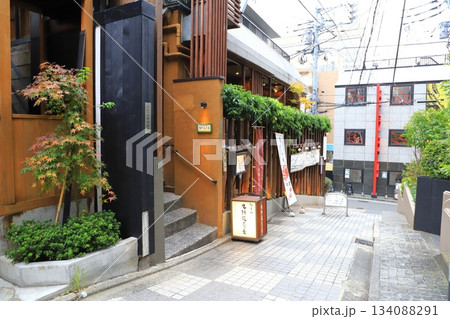 神楽坂 芸者新道(しんどう)(神楽坂三丁目) 神楽坂 芸者新道(しんどう)(神楽坂三丁目) 134088291