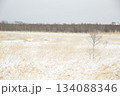 雪の草原　北海道 134088346