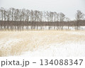 雪の草原　北海道 134088347
