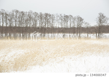 雪の草原　北海道 134088347